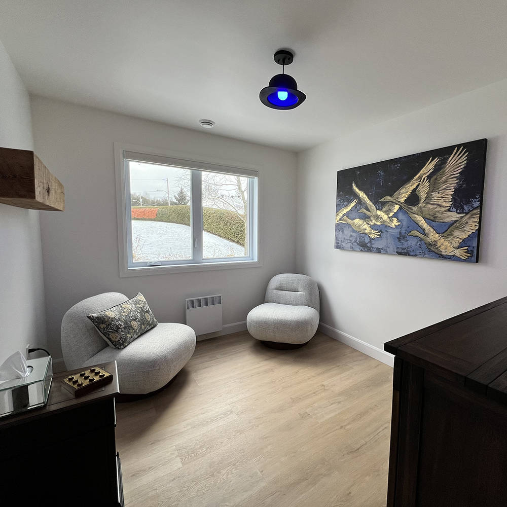 Appartement style condo à louer Lemay Fleury