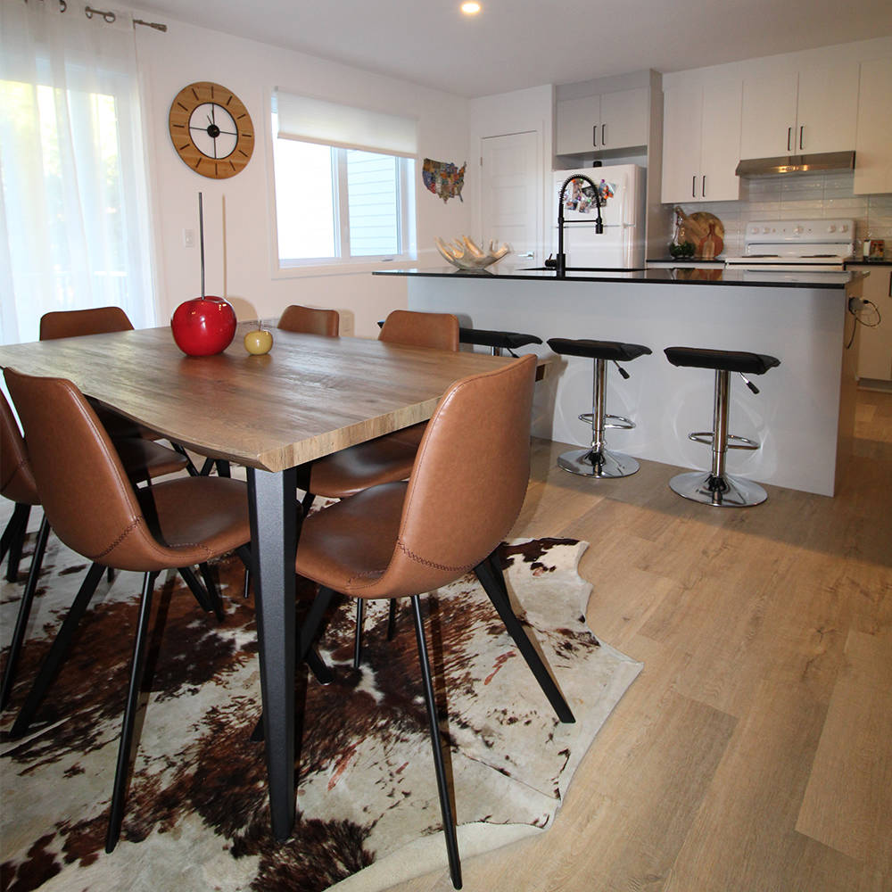 Appartement style condo à louer Lemay Fleury