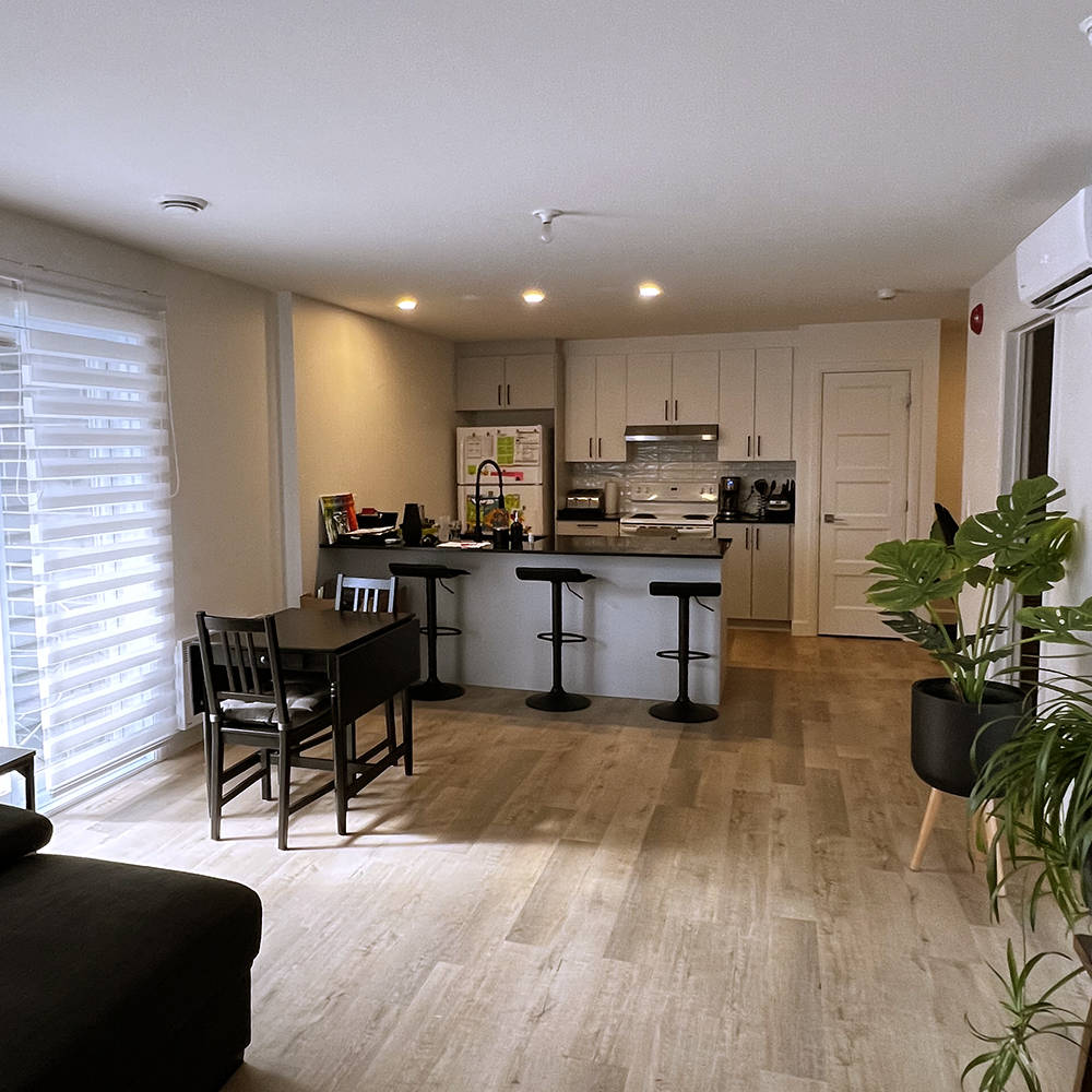 Appartement style condo à louer Lemay Fleury