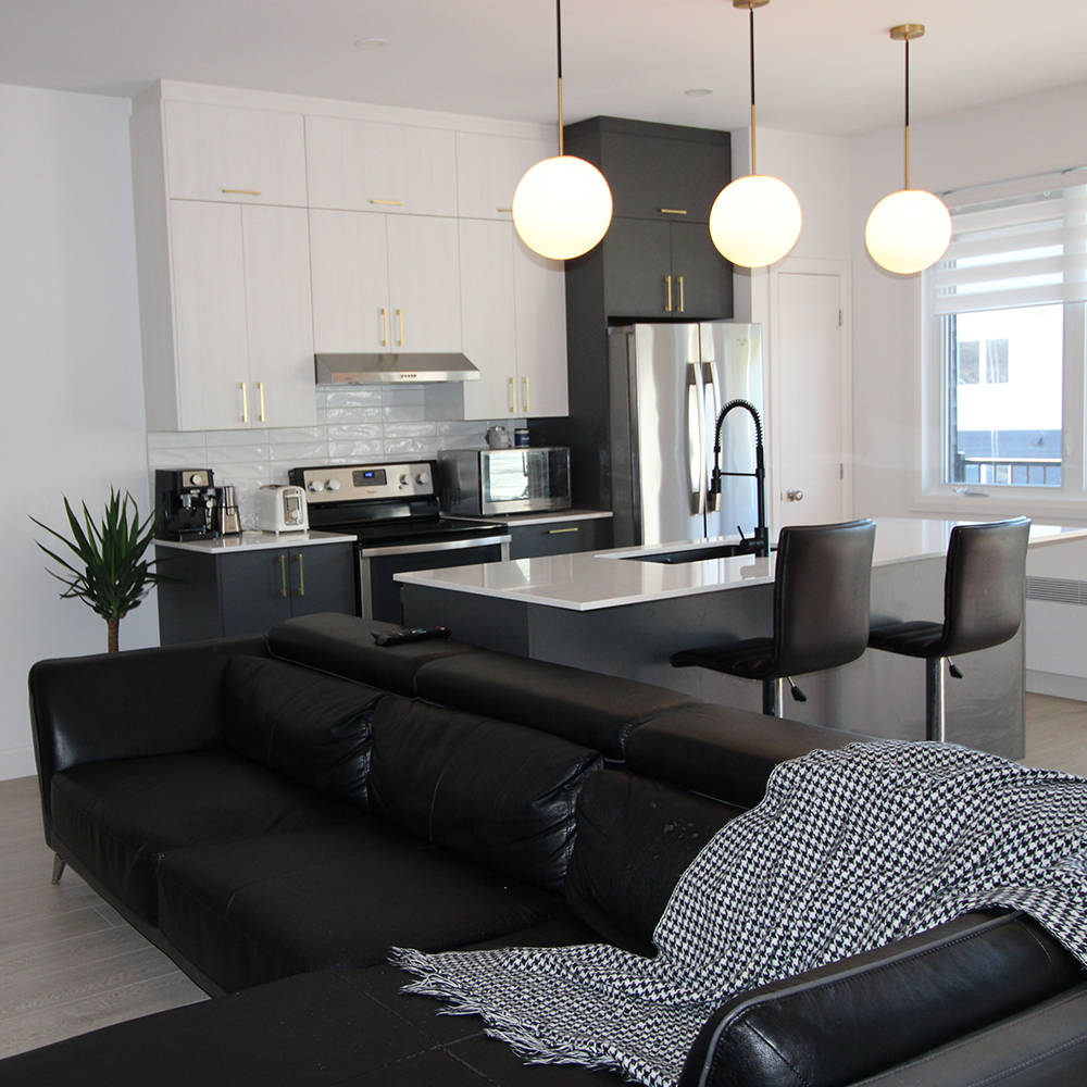 Appartement style condo à louer Lemay Fleury